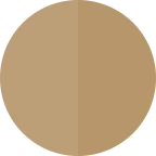 Desert Bronze